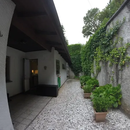 A View, Panorama Over Maggiore * Ronco sopra Ascona